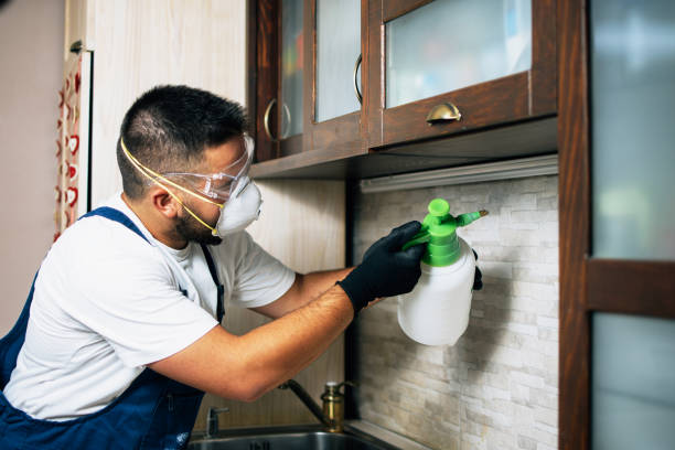 Best Exterminator Services  in Tipton, CA
