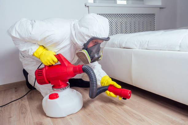 Best Local Pest Control Services  in Tipton, CA