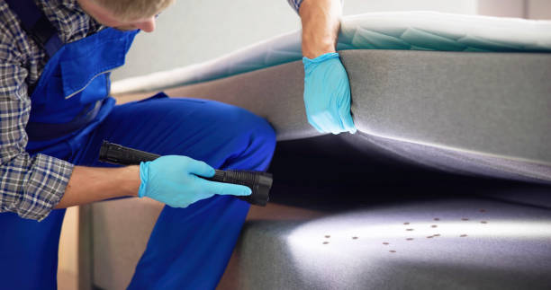Best Rat Extermination Near Me  in Tipton, CA
