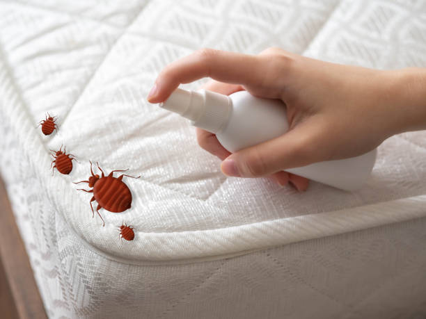 Best Termite Control Services  in Tipton, CA